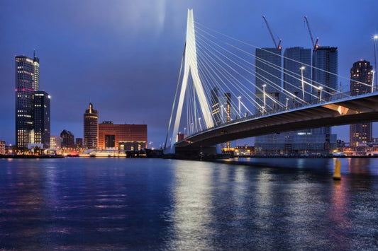 輸入壁紙 カスタム壁紙 PHOTOWALL / City of Rotterdam at Night (e30922)