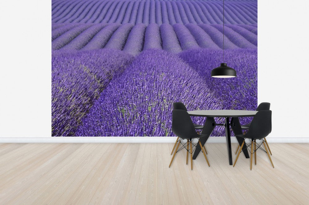 輸入壁紙 カスタム壁紙 PHOTOWALL / Purple Lavender Field (e41176)