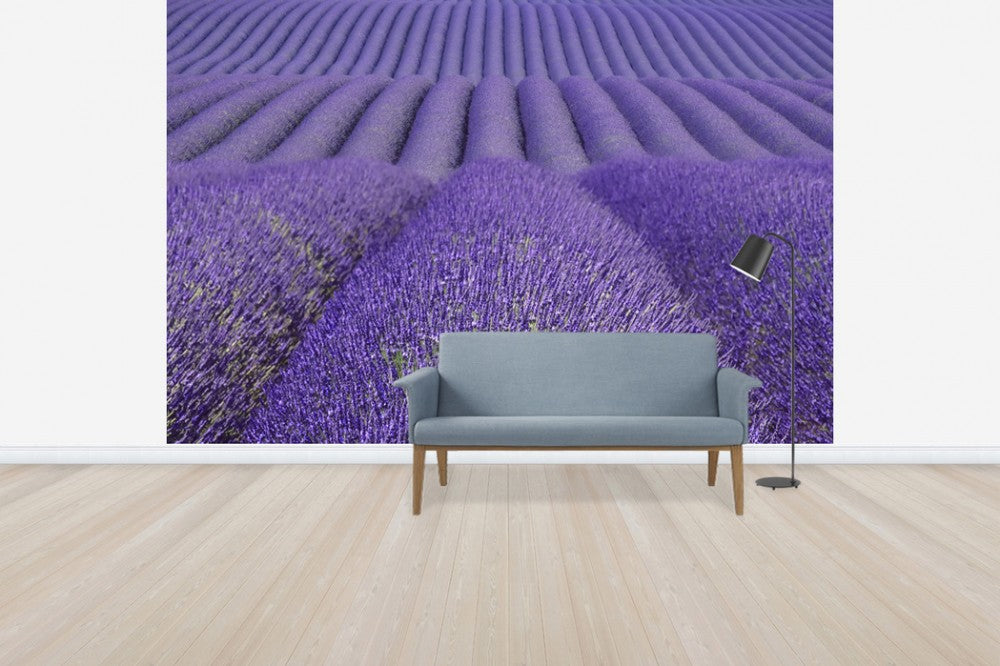 輸入壁紙 カスタム壁紙 PHOTOWALL / Purple Lavender Field (e41176)