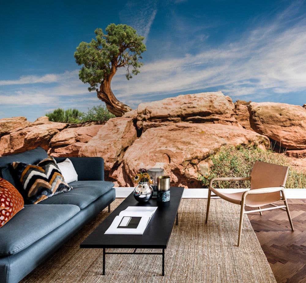 輸入壁紙 カスタム壁紙 PHOTOWALL / Desert tree in Utah (e50271)