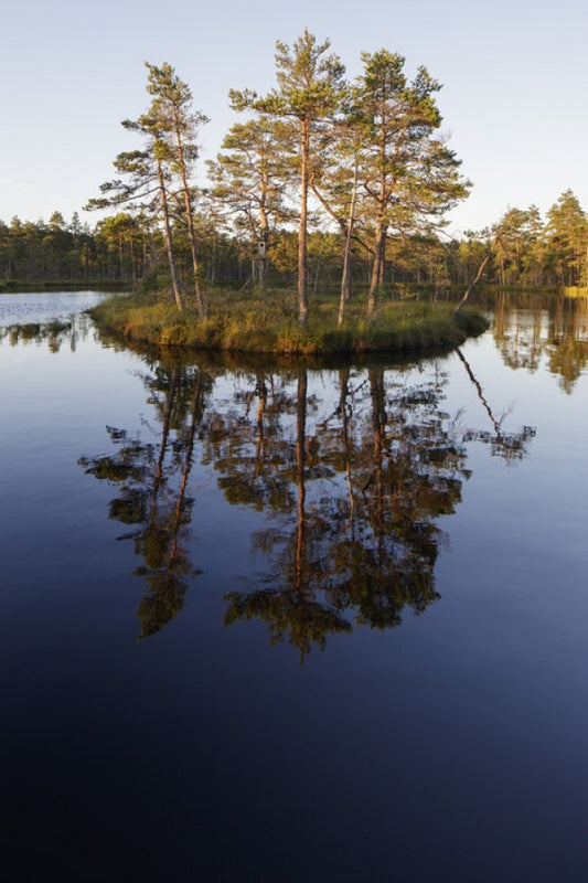 輸入壁紙 カスタム壁紙 PHOTOWALL / Knutho?jdsmossen, Sweden (e50306)