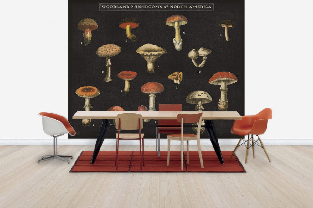 輸入壁紙 カスタム壁紙 PHOTOWALL / Mushroom Chart (e31075)