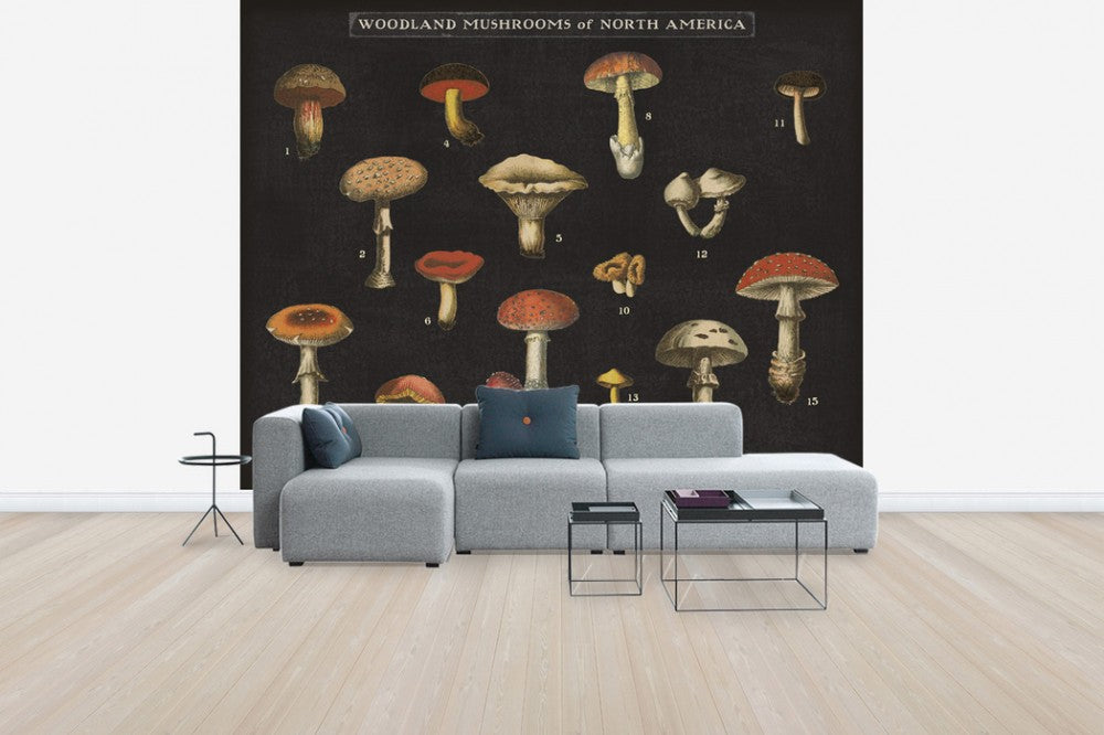 輸入壁紙 カスタム壁紙 PHOTOWALL / Mushroom Chart (e31075)