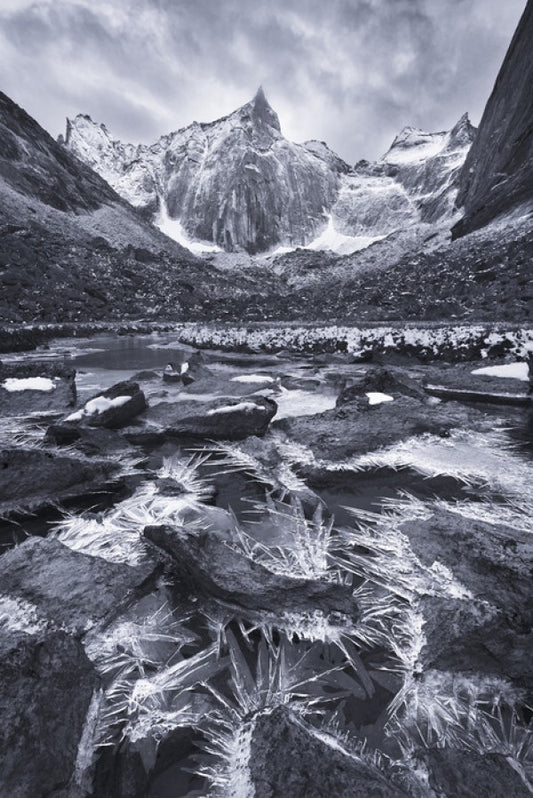 輸入壁紙 カスタム壁紙 PHOTOWALL / Ice crystals Along a Small Creek, Alaska (e31113)