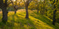 輸入壁紙 カスタム壁紙 PHOTOWALL / Late Afternoon Sunshine Streams, Mount Diablo, California (e31115)