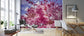 輸入壁紙 カスタム壁紙 PHOTOWALL / Japanese Cherry Trees (e310412)