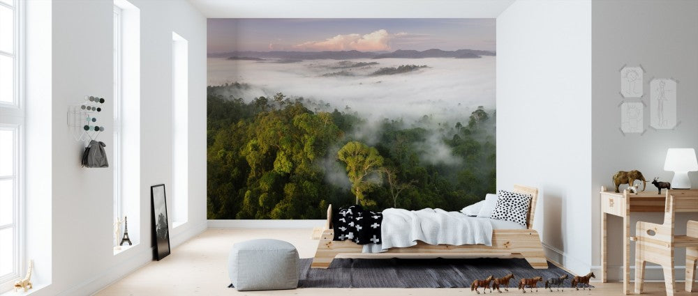 輸入壁紙 カスタム壁紙 PHOTOWALL / Lowland Rainforest Mist (e310363)