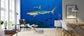 輸入壁紙 カスタム壁紙 PHOTOWALL / Caribbean Reef Shark (e310369)