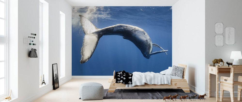 輸入壁紙 カスタム壁紙 PHOTOWALL / Humpback Whale (e310399)