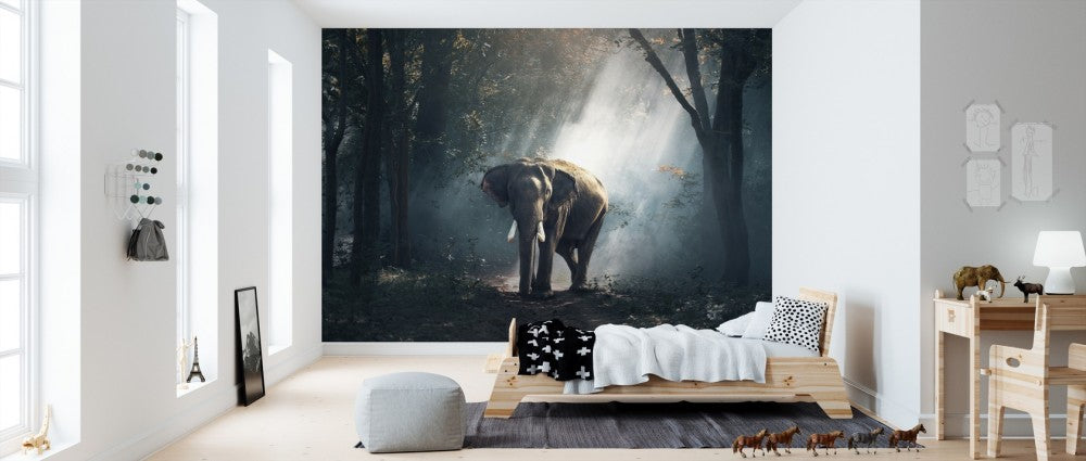 輸入壁紙 カスタム壁紙 PHOTOWALL / Elephant in the Woods (e310663)