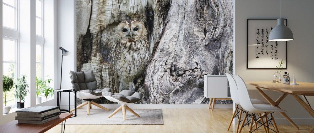 輸入壁紙 カスタム壁紙 PHOTOWALL / Camouflage Owl (e310645)