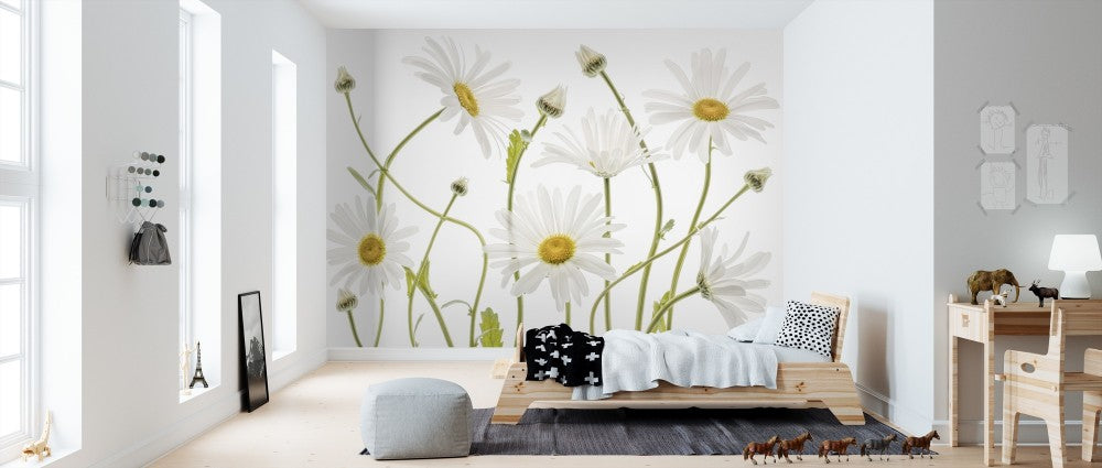 輸入壁紙 カスタム壁紙 PHOTOWALL / Ox Eye Daisies (e311042)