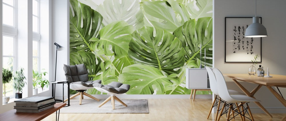 輸入壁紙 カスタム壁紙 PHOTOWALL / Green Leaves Monstera (e313223)