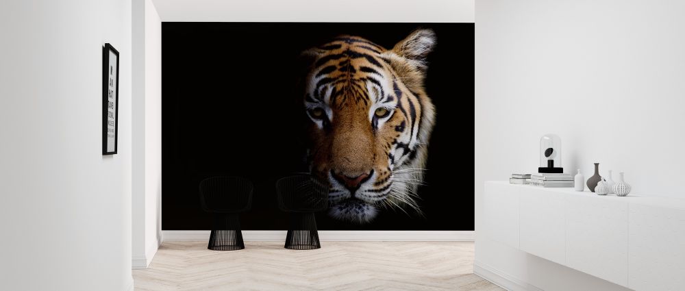 輸入壁紙 カスタム壁紙 PHOTOWALL / Tiger (e315902)