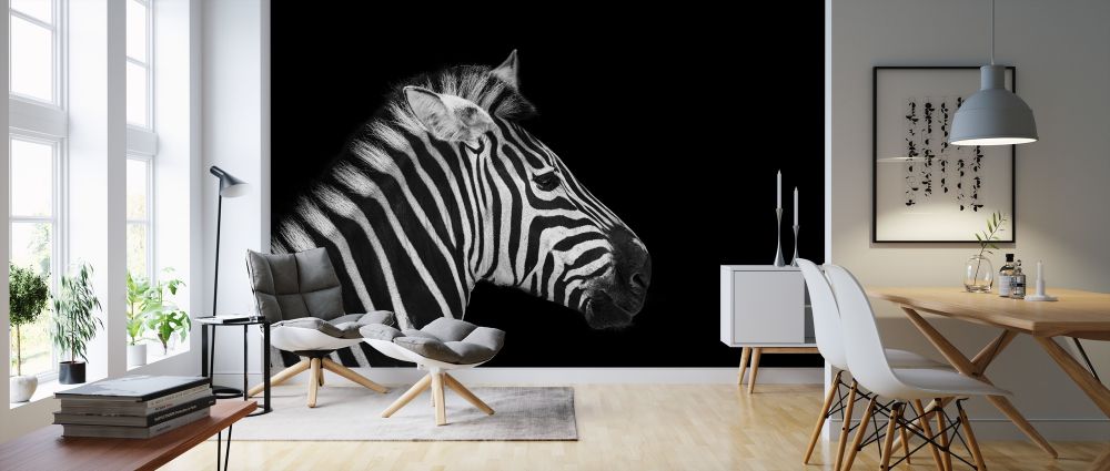 輸入壁紙 カスタム壁紙 PHOTOWALL / Zebra Portrait (e316073)