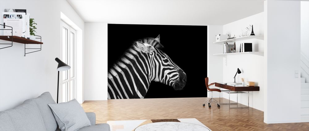 輸入壁紙 カスタム壁紙 PHOTOWALL / Zebra Portrait (e316073)