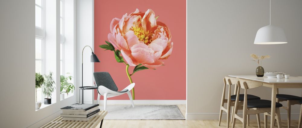 輸入壁紙 カスタム壁紙 PHOTOWALL / Peony on Coral (e316149)