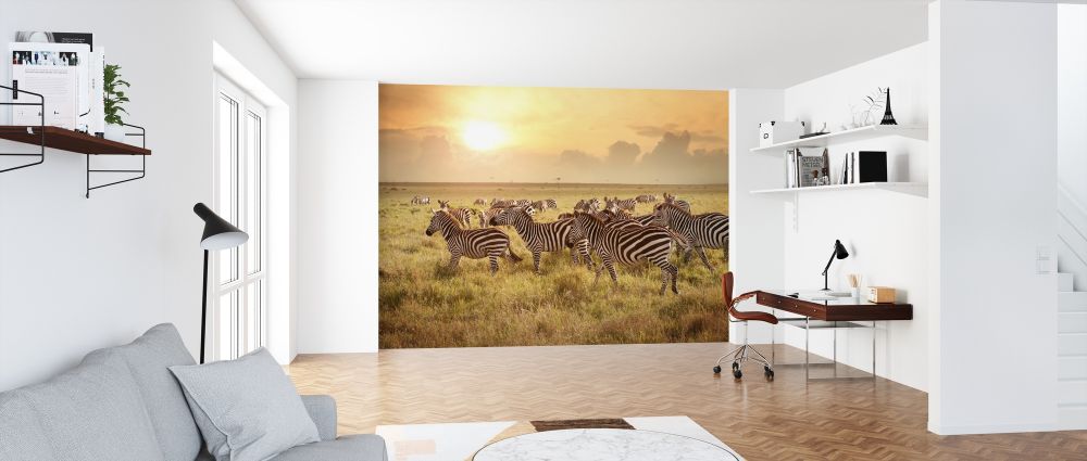 輸入壁紙 カスタム壁紙 PHOTOWALL / Zebras in the Morning (e316468)