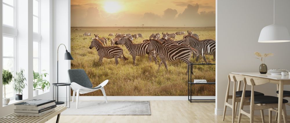 輸入壁紙 カスタム壁紙 PHOTOWALL / Zebras in the Morning (e316468)