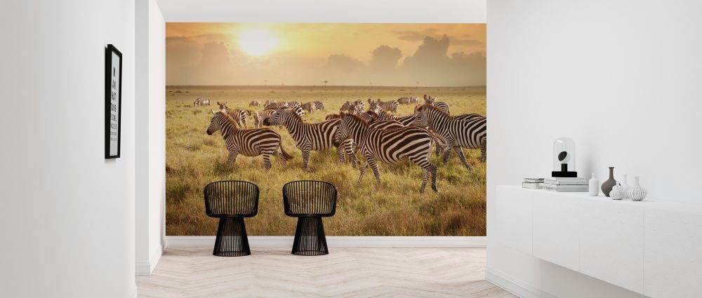 輸入壁紙 カスタム壁紙 PHOTOWALL / Zebras in the Morning (e316468)