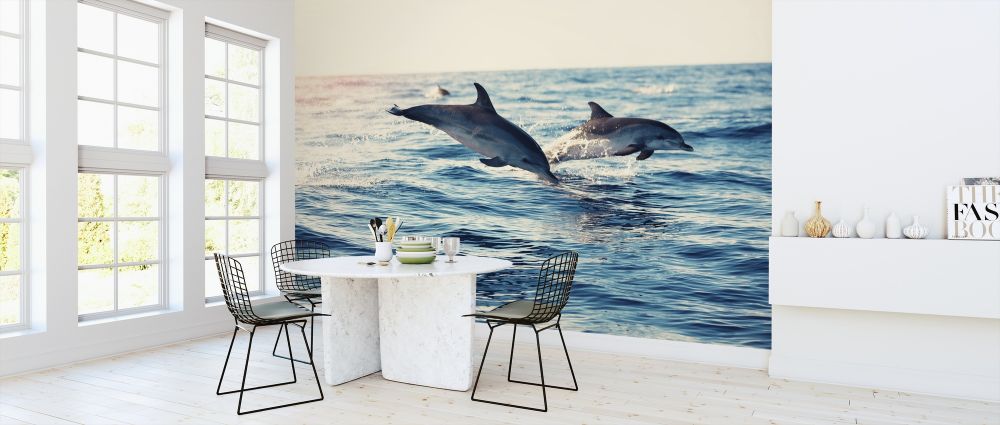 輸入壁紙 カスタム壁紙 PHOTOWALL / Dolphins Jumping from the Sea (e316501)