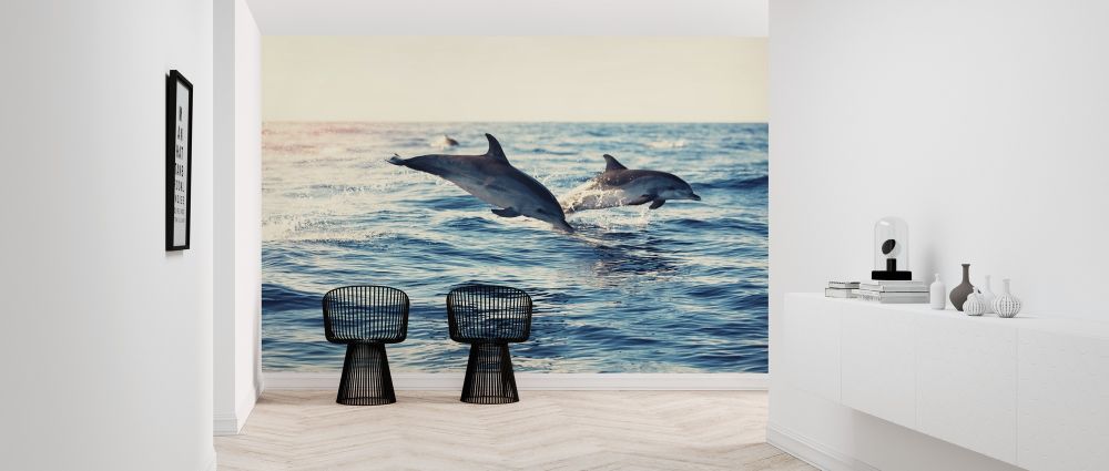 輸入壁紙 カスタム壁紙 PHOTOWALL / Dolphins Jumping from the Sea (e316501)