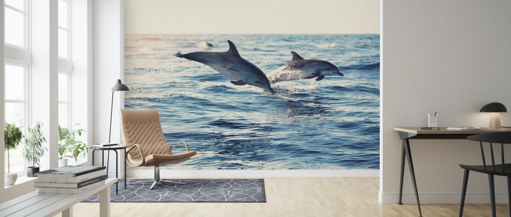 輸入壁紙 カスタム壁紙 PHOTOWALL / Dolphins Jumping from the Sea (e316501)