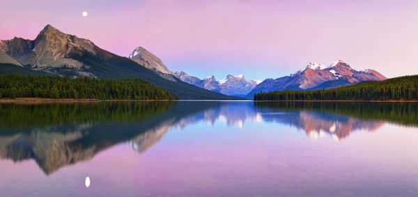 輸入壁紙 カスタム壁紙 PHOTOWALL / Maligne Lake (e317610)