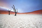 輸入壁紙 カスタム壁紙 PHOTOWALL / Mist over Deadvlei (e317573)