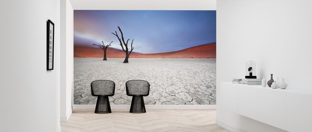 輸入壁紙 カスタム壁紙 PHOTOWALL / Mist over Deadvlei (e317573)