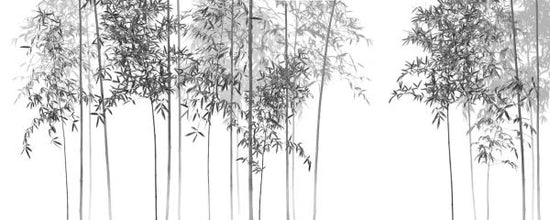 輸入壁紙 カスタム壁紙 PHOTOWALL / Bamboo Trees View - bw (e318690)