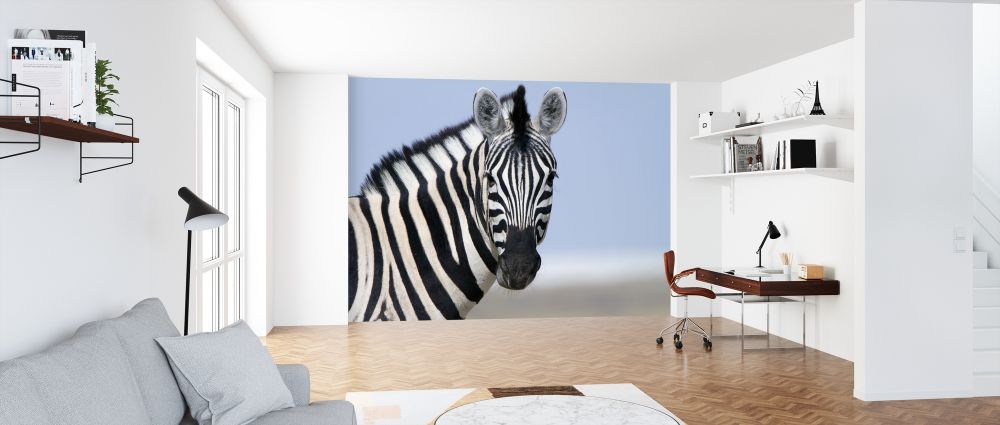 輸入壁紙 カスタム壁紙 PHOTOWALL / Zebra Looking (e317842)