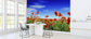 輸入壁紙 カスタム壁紙 PHOTOWALL / Red Poppies on Green Field (e317845)