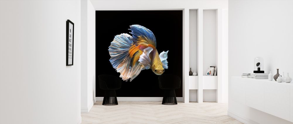 輸入壁紙 カスタム壁紙 PHOTOWALL / Siamese Fighting Fish (e318293)