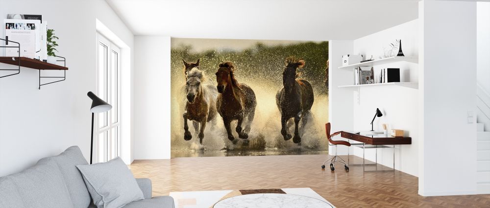 輸入壁紙 カスタム壁紙 PHOTOWALL / Horses in River (e318326)