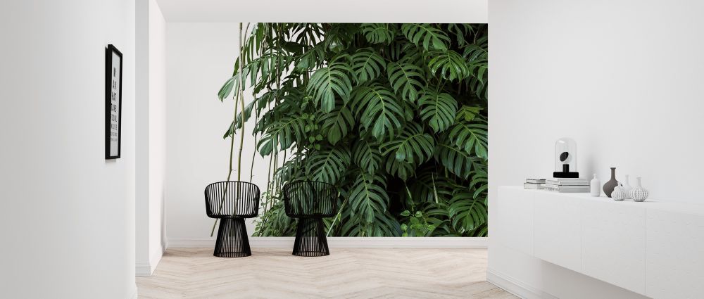 輸入壁紙 カスタム壁紙 PHOTOWALL / Monstera Tropical Plant (e318352)