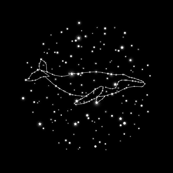 輸入壁紙 カスタム壁紙 PHOTOWALL / Whale Constellation (e320096)