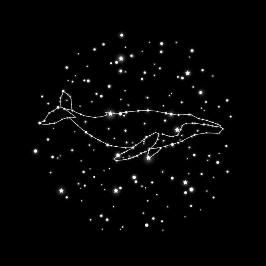 輸入壁紙 カスタム壁紙 PHOTOWALL / Whale Constellation (e320096)