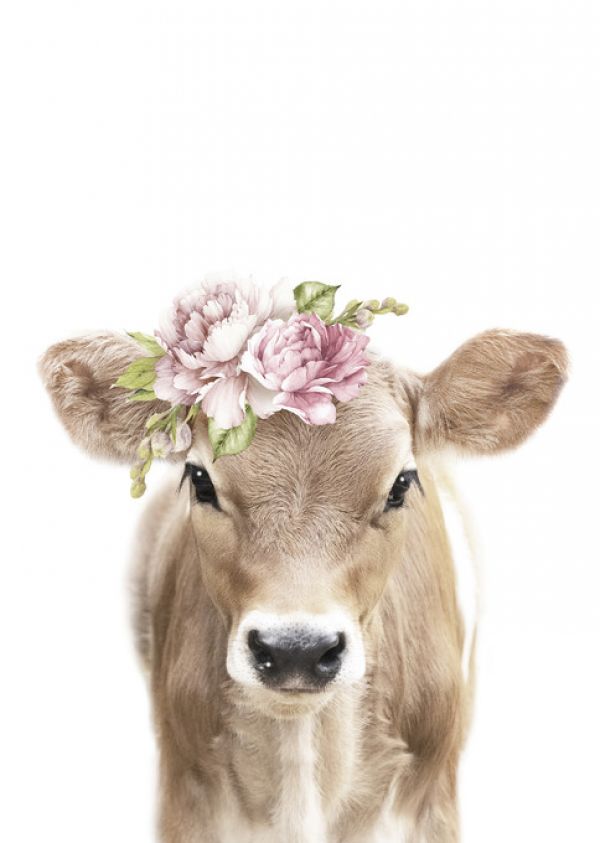 輸入壁紙 カスタム壁紙 PHOTOWALL / Floral Calf (e322226)