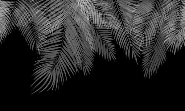 輸入壁紙 カスタム壁紙 PHOTOWALL / Hanging Palm Leaves - Black-White (e321938)