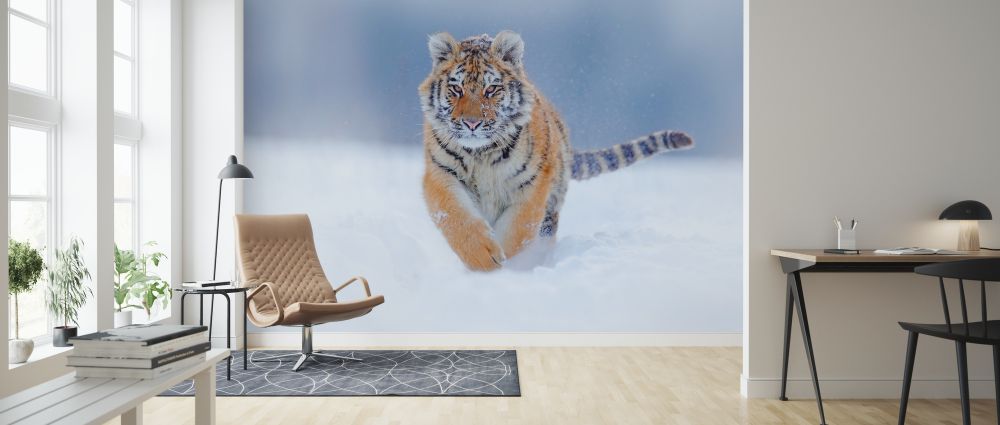 輸入壁紙 カスタム壁紙 PHOTOWALL / Tiger Running in Snow (e324522)