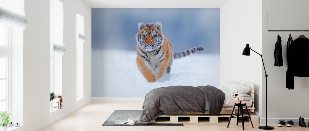 輸入壁紙 カスタム壁紙 PHOTOWALL / Tiger Running in Snow (e324522)