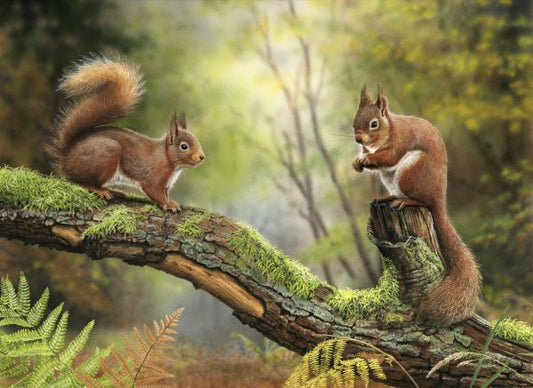 輸入壁紙 カスタム壁紙 PHOTOWALL / Red Squirrels (e321541)