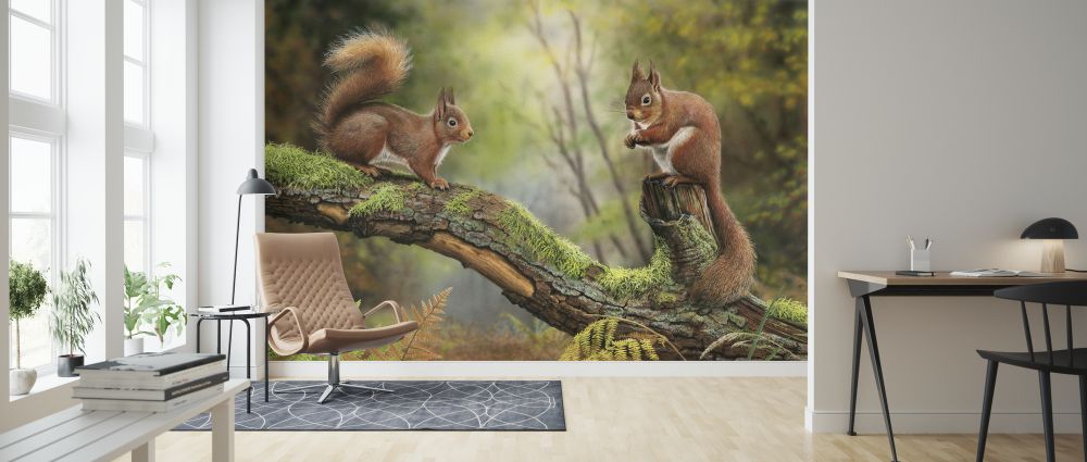 輸入壁紙 カスタム壁紙 PHOTOWALL / Red Squirrels (e321541)