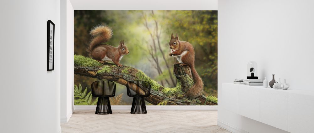 輸入壁紙 カスタム壁紙 PHOTOWALL / Red Squirrels (e321541)