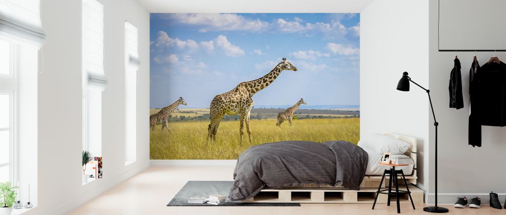 輸入壁紙 カスタム壁紙 PHOTOWALL / Trio Giraffes (e323735)