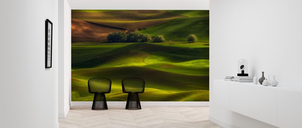 輸入壁紙 カスタム壁紙 PHOTOWALL / Spring in the Palouse (e323871)