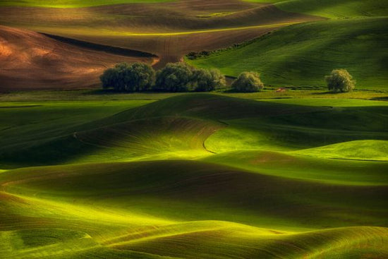 輸入壁紙 カスタム壁紙 PHOTOWALL / Spring in the Palouse (e323871)