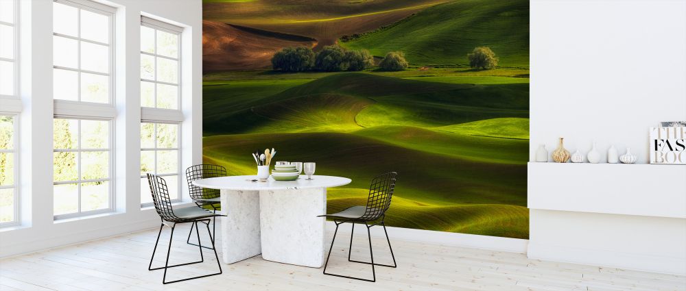 輸入壁紙 カスタム壁紙 PHOTOWALL / Spring in the Palouse (e323871)