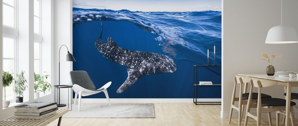 輸入壁紙 カスタム壁紙 PHOTOWALL / Whale Shark on Split Level (e323987)